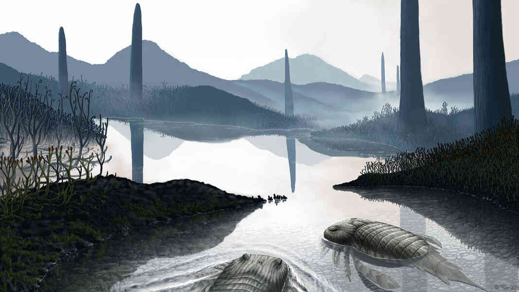 Earth's Forgotten Giants The Enigma of Prototaxites