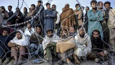 Pakistan's Deportation Drive Afghan Refugees at Risk | Ongoing Now 24