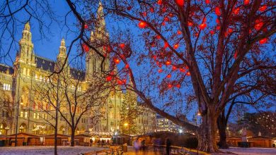 Vienna’s Timeless Awe Unveils World Wonders | Ongoing Now 24 Around us