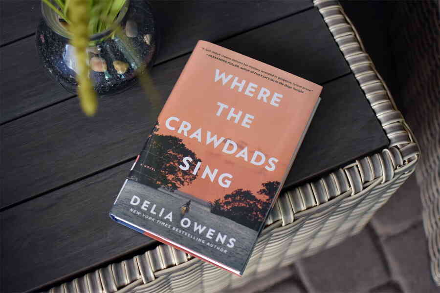 Where the Crawdads Sing A Quiet Muse That Stirs the Soul | Ongoing Now 24 Brain Food