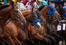 Derby Shock Sovereignty Stuns in Muddy Glory!