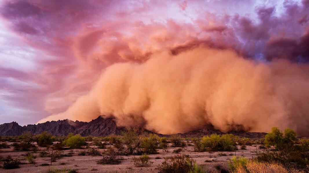Why Stay Fit and Zen When Dust Storms Hit Hard